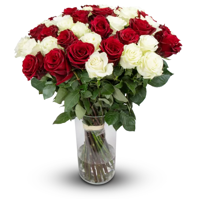 Kytice ekvádorských růží 80 cm